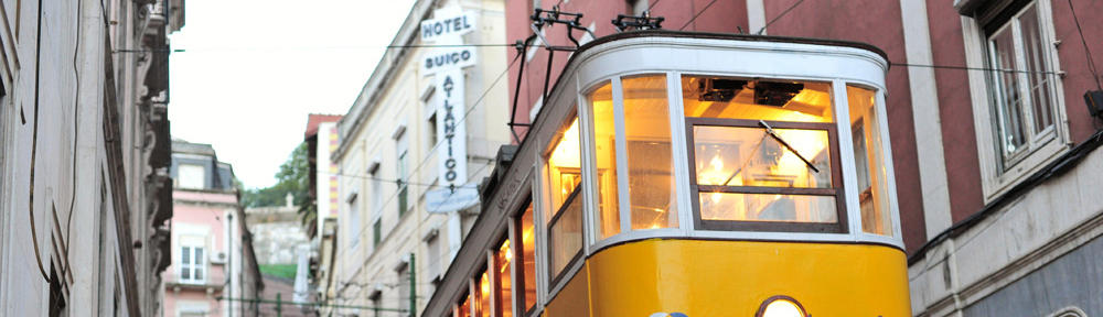 World Health Organization Centre for Human Health Development